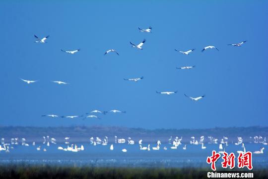 吸引了来自各地的游客和摄影爱好者前来。　段八一　摄