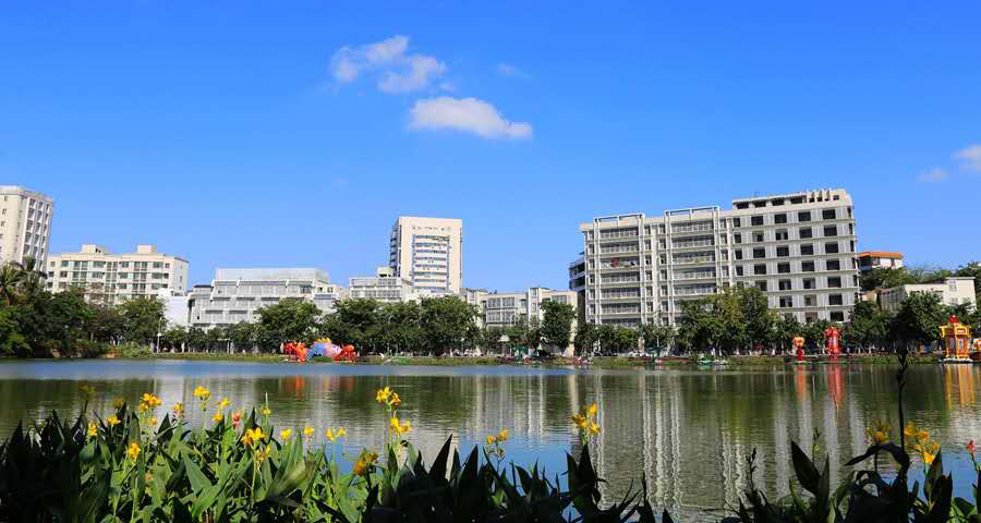 拍客 | 美翻了！“海口之眸”东西湖迎来“春节蓝”