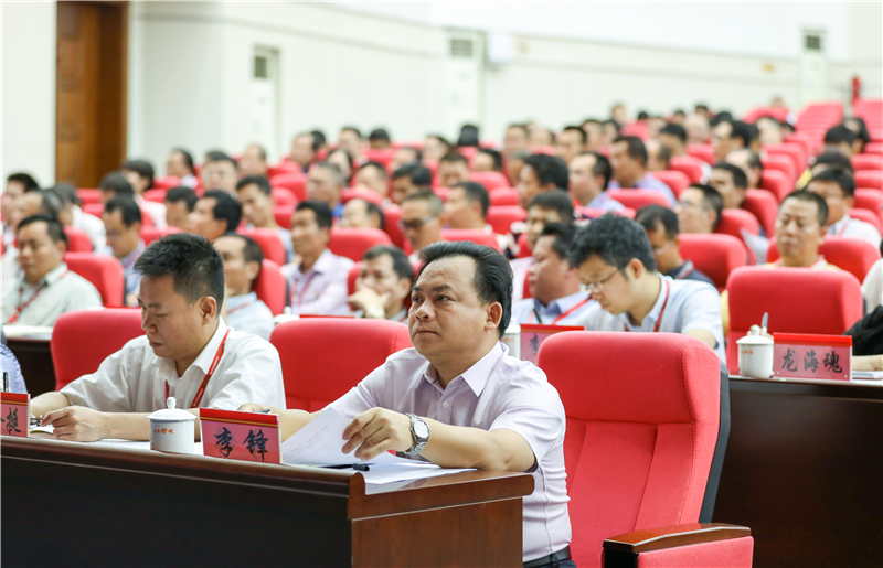 县委书记麦正华，县委副书记、县长李锋，县人大常委会主任张隆挺，县政协主席李善忠等县四套班子领导参加分会场会议 (2).jpg