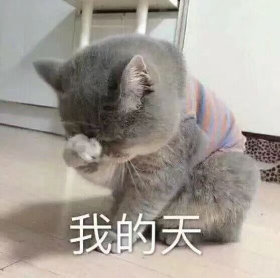 女主播进小学教室拍抖音：自媒体请自重