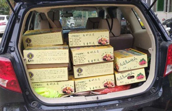 五指山开展“后备厢”消费扶贫工程 助力土特产品走出大山
