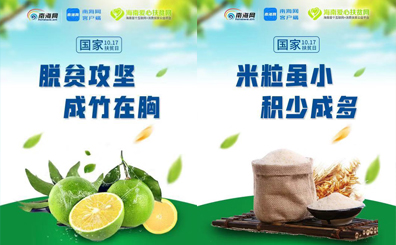 创意海报来了！海南爱心扶贫网一周年 “网红”农产品送祝福