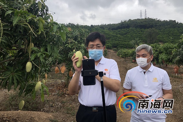 给力！海南这些市县领导直播“带货”，为农产