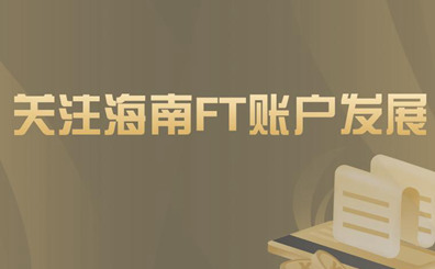 关注海南FT账户发展