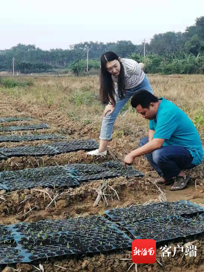 致富经.._致富网_致富好项目
