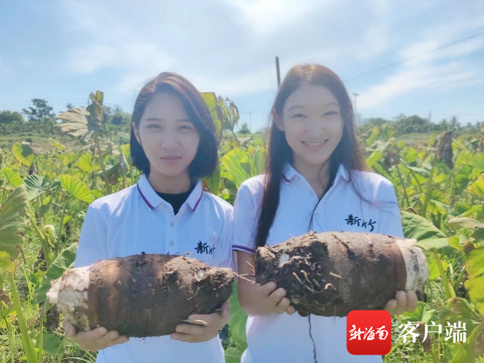 致富好项目_致富网_致富经..