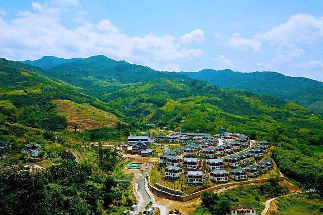 两会好声音丨海南省政协委员梁谋：努力打造一支“带不走的乡村振兴工作队” 