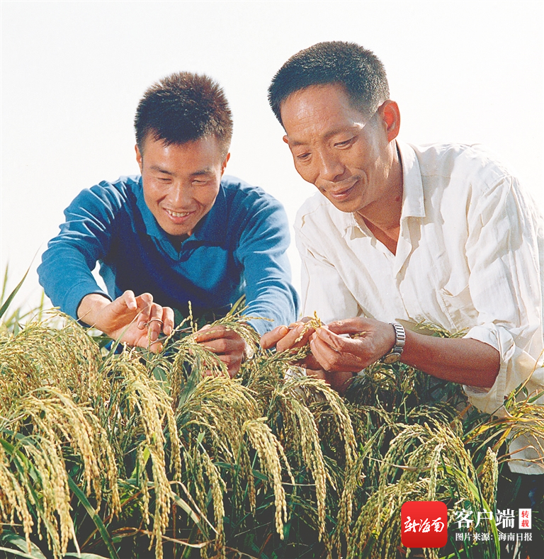 "杂交水稻之父"袁隆平:禾下乘凉梦 丹心映青田