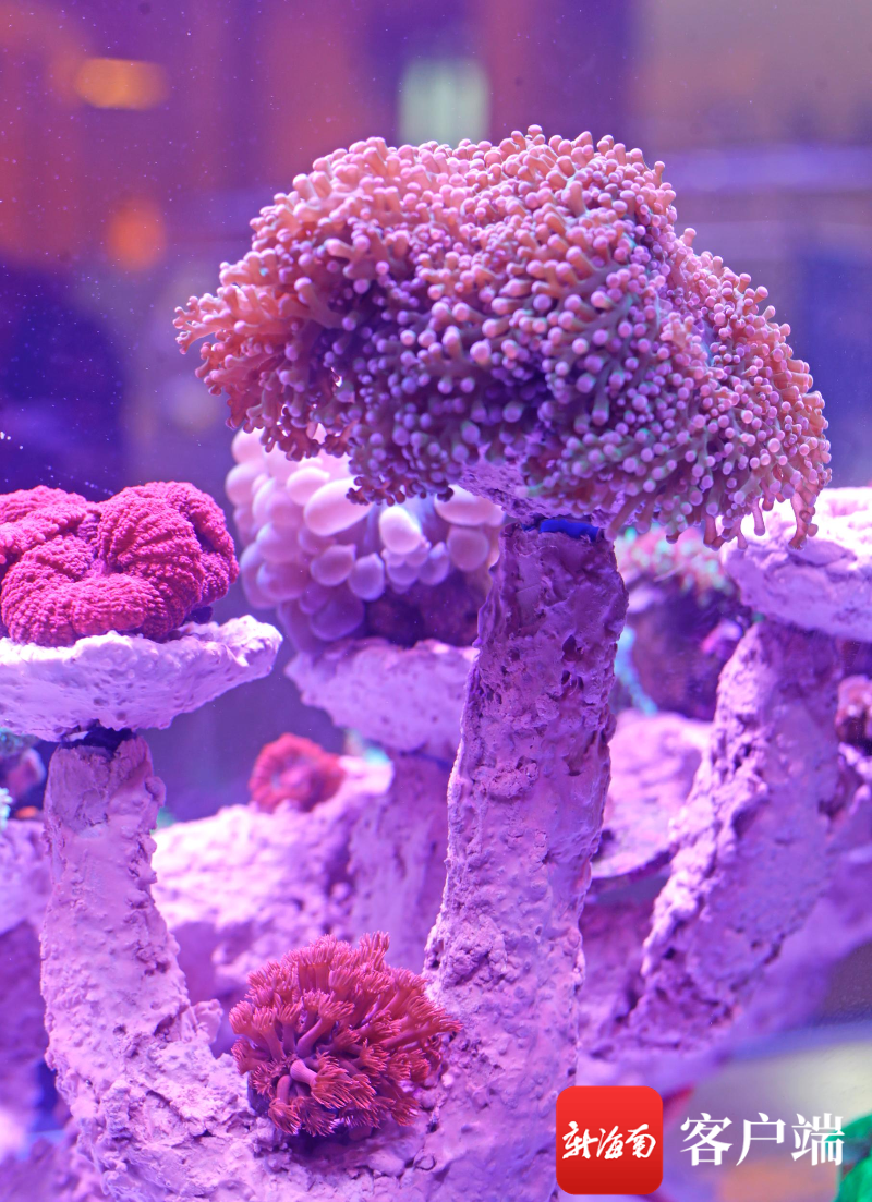 00321639540_61a12b58.jpg