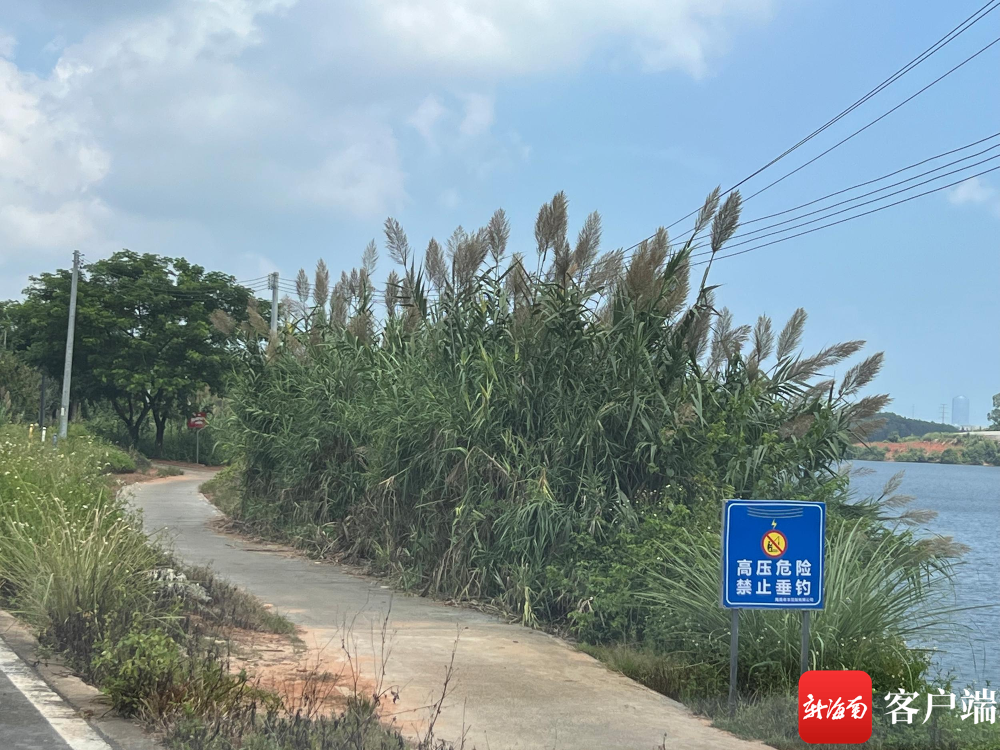 插入图片