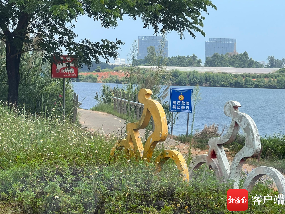 插入图片