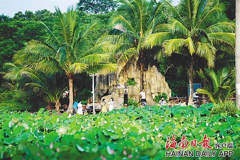 海南宝藏乡村藏着“向往的生活”