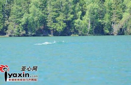 喀纳斯又现湖怪 专家推测是巨型哲罗鲑(图)