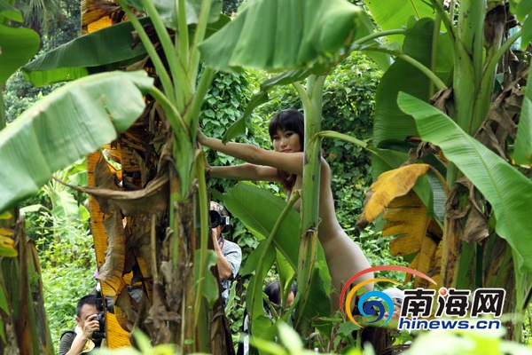 美丽海南人体摄影海口开拍:模特草丛中惊艳