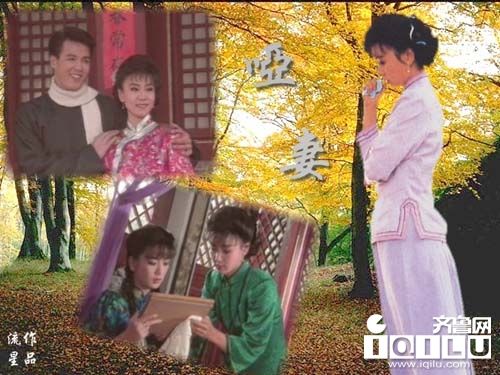 刘雪华秦汉赵薇 琼瑶经典电视剧集回顾(图)