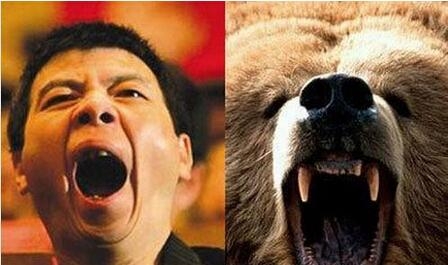 冯小刚vs熊   冯导,您是骂人骂累了吧?您老也有打哈欠的时候呀?