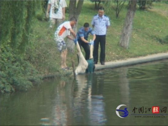 合肥公园发现漂浮女尸 民警怀疑是自杀