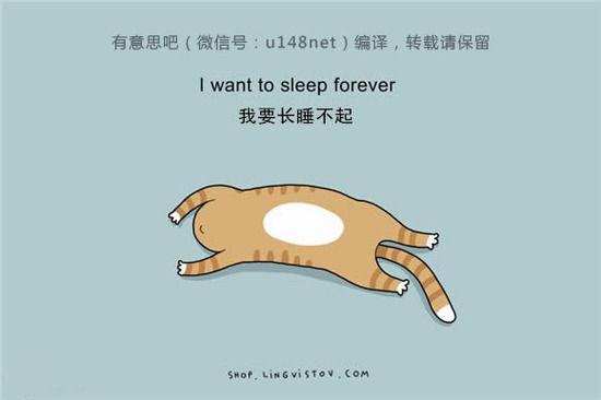 送给睡懒觉不爱起床的你