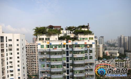 海口金银广场小区楼顶"空中花园 城管:属违建