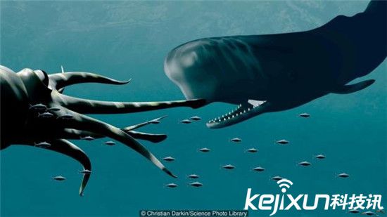 “挪威海怪”深海巨型鱿鱼!竟能长到20米长