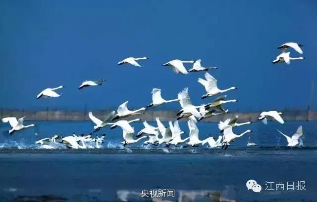 来了！中国最美高铁今天全线通车