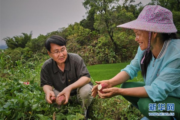 （走基层 听民声）（2）精准扶贫让五指山苗寨从脱贫摘帽到美丽乡村