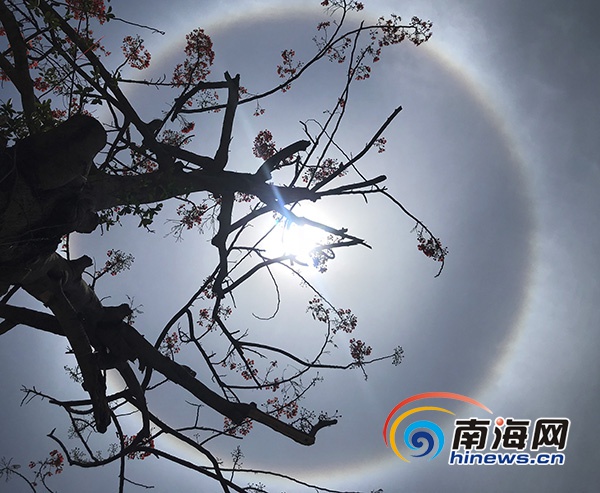 组图三亚现日晕奇观七彩光环笼罩太阳