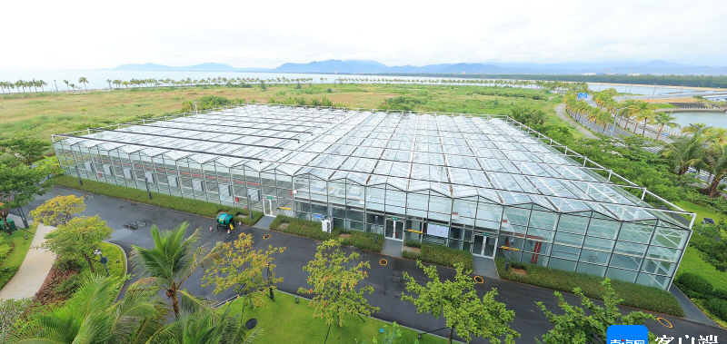 建全球资源基地，海口海关动植物检疫中心揭牌 - 第1张