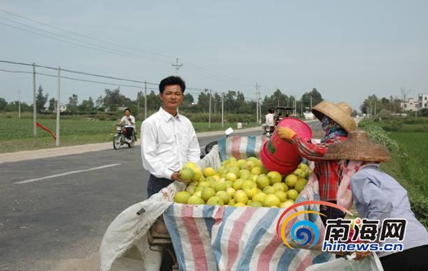 乐东佛罗镇温东海是农民的"代销员".
